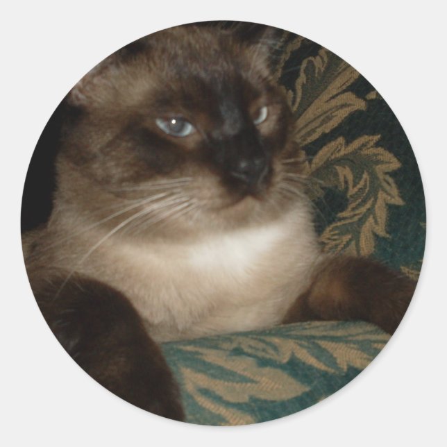 Adesivo Redondo Pouty Face Siamese Cat Sticker (Frente)