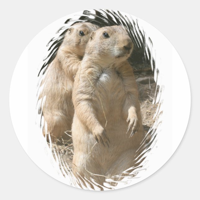 Adesivo Redondo Prairie Dogs Sticker (Frente)