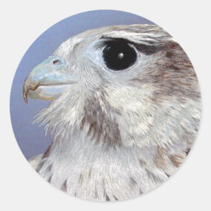 Adesivo Redondo Prairie Falcon