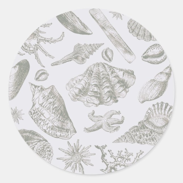 Adesivo Redondo Prateleiras de Arte Suave de Seashell (Frente)
