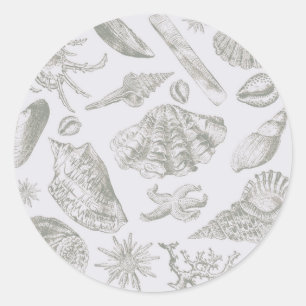 Adesivo Redondo Prateleiras de Arte Suave de Seashell