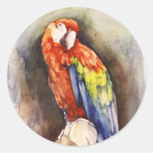 Adesivo Redondo Precioso de Cenoura