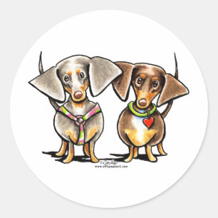 Adesivo Redondo Precipitando Dachshunds Dappled