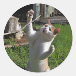 Adesivo Redondo Predador feroz