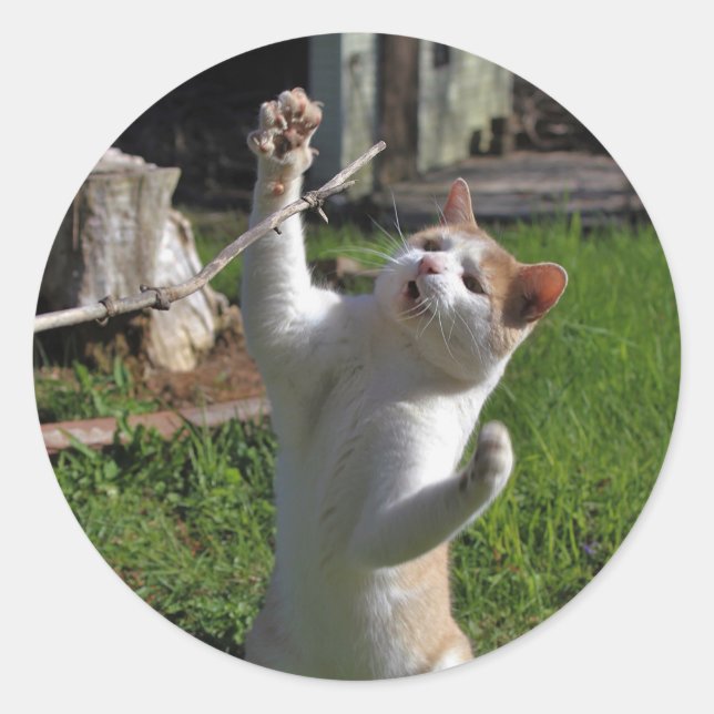 Adesivo Redondo Predador feroz (Frente)