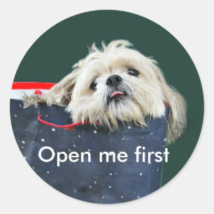 Adesivo Redondo presente de Natal Shih Tzu