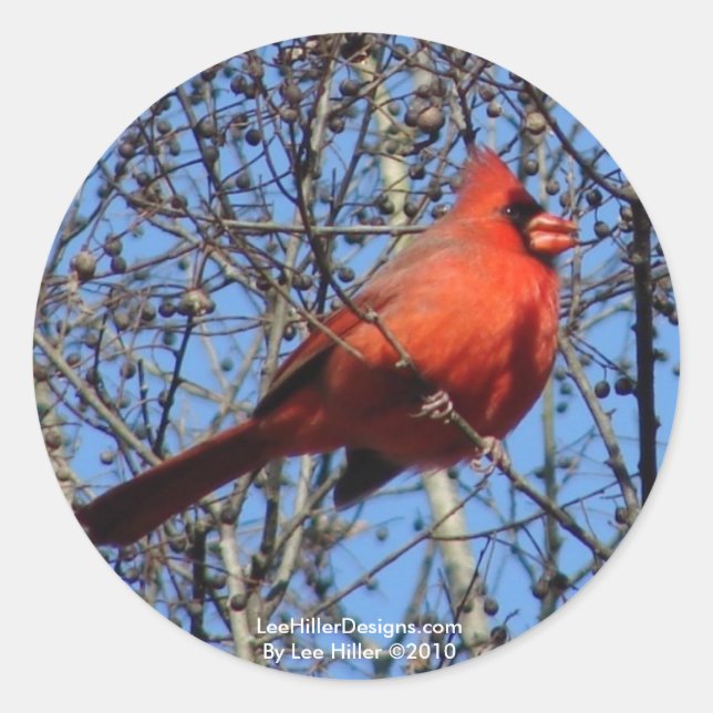 Adesivo Redondo Presentes Cardinais de Promenade de Montanha Quent (Frente)