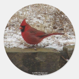 Adesivo Redondo Presentes Cardinal Hot Springs Nat. Park Mountain