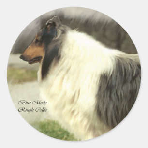 Adesivo Redondo Presentes de Arte Collie Rough Blue Merle