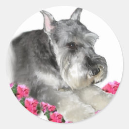 Adesivo Redondo Presentes de Arte Miniatura Schnauzer