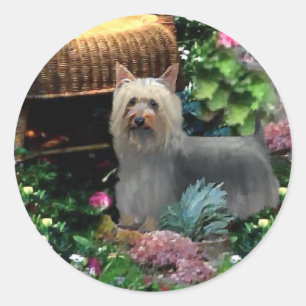 Adesivo Redondo Presentes de Arte Silky Terrier
