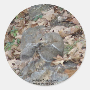 Adesivo Redondo Presentes de Camuflagem do Hot Springs Mountain, A