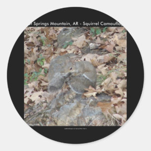 Adesivo Redondo Presentes de Camuflagem do Hot Springs Mountain, A