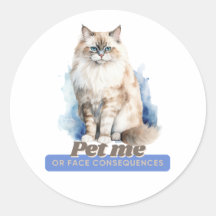 Presentes de Gatinhos Cômicos para Adolescentes de