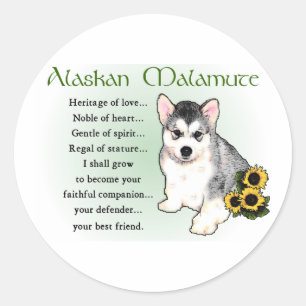 Adesivo Redondo Presentes de Malamute no Alasca