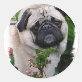 Adesivo Redondo Presentes de Pug Lovers