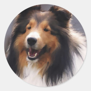 Adesivo Redondo Presentes de Sheltie do Sheepdog de Shetland