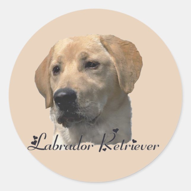 Adesivo Redondo Presentes do Labrador Retriever (Frente)