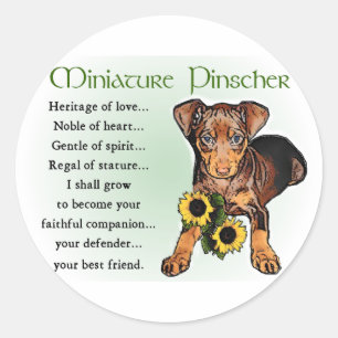 Adesivo Redondo Presentes Miniatura Pinscher