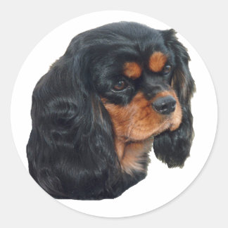 Adesivo Redondo Preto e marrom