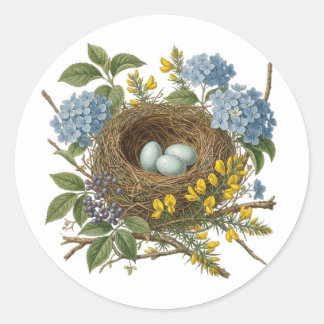 Adesivo Redondo Pretty Vintage Bird Nest Sticker