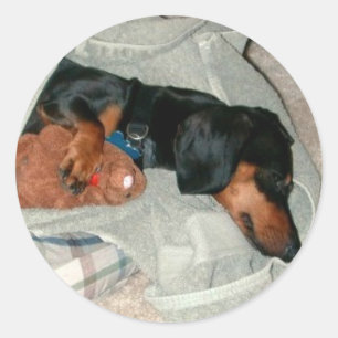 Adesivo Redondo Pretzel & amigo