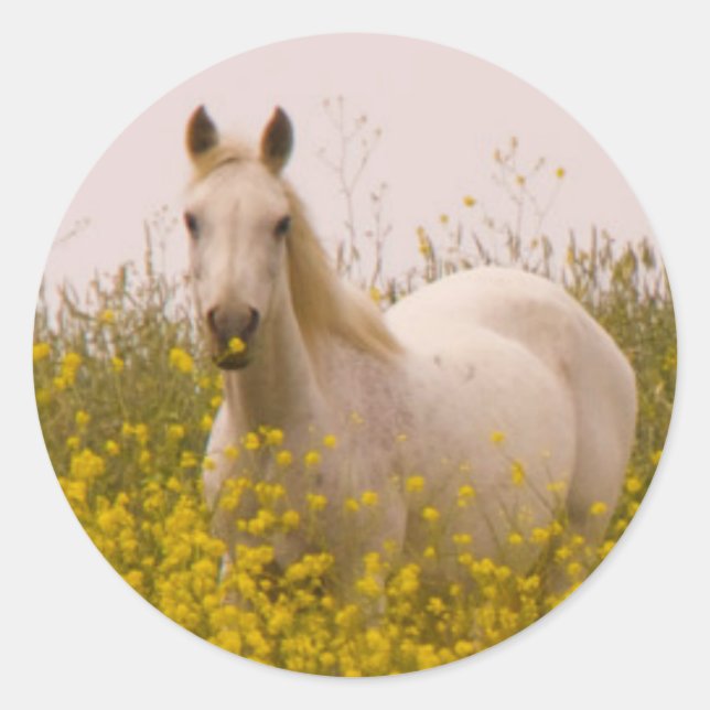 Adesivo Redondo Primavera (Frente)