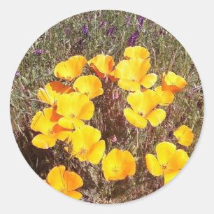 Adesivo Redondo Primavera ~ California Poppies