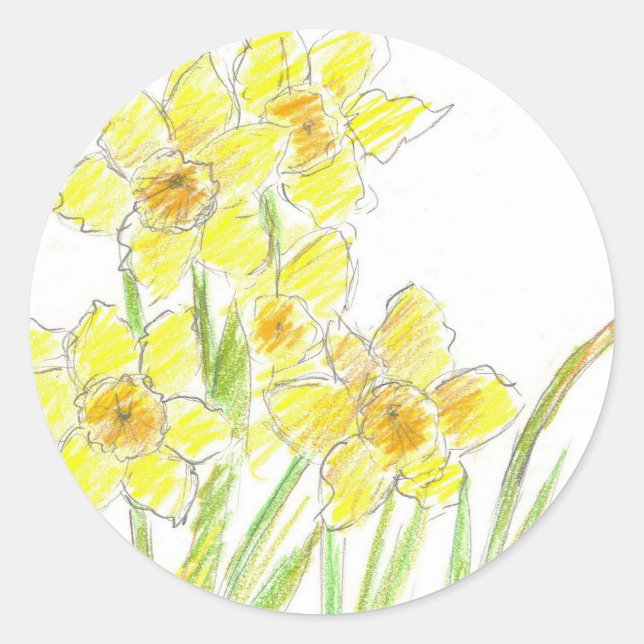 Adesivo Redondo Primavera Daffodils Amarelo Aquarela (Frente)