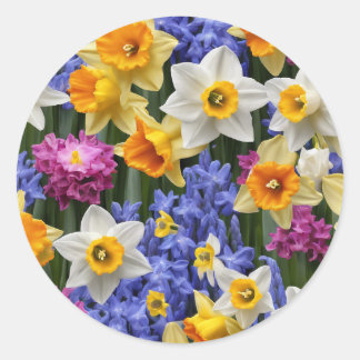 Adesivo Redondo Primavera Daffodils Bonito Floral