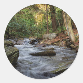 Adesivo Redondo Primavera de Areia, Hickory Run State Park