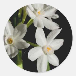 Adesivo Redondo Primavera De Flor Branca E Vinheta De Casamento