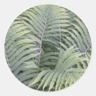 Adesivo Redondo Primavera em Maine