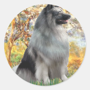 Adesivo Redondo Primavera - Keeshond