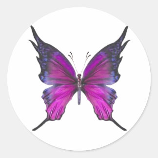 Adesivo Redondo Primavera Myst 3