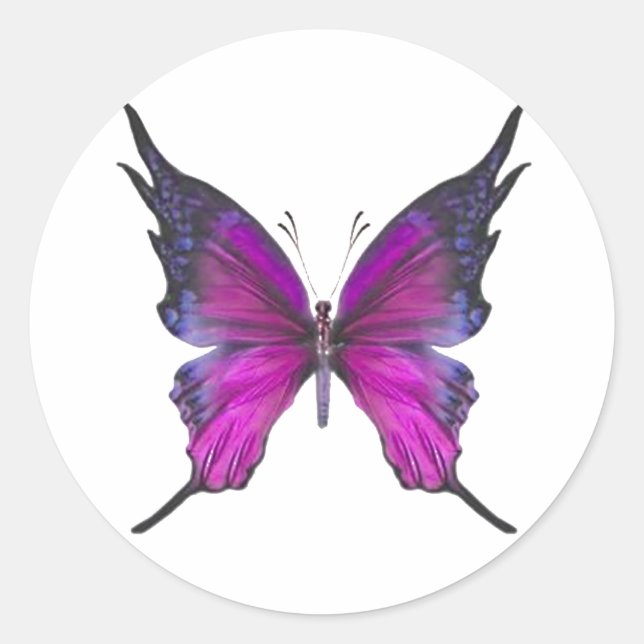 Adesivo Redondo Primavera Myst 3 (Frente)