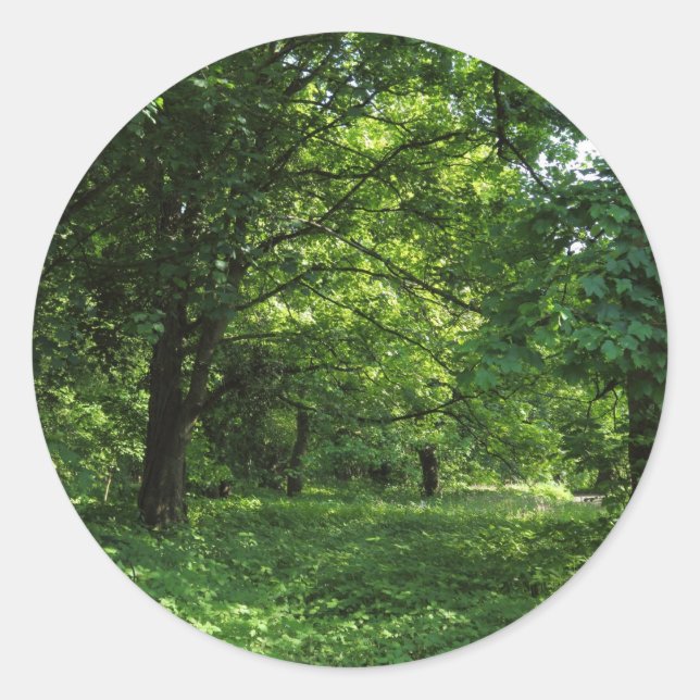 Adesivo Redondo Primavera no bosque 01 (Frente)