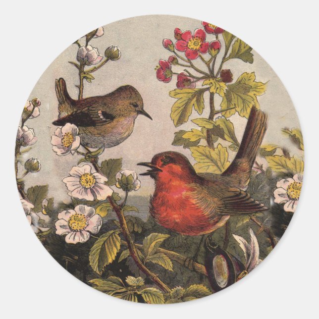 Adesivo Redondo Primavera Robin Birds Red Birds (Frente)