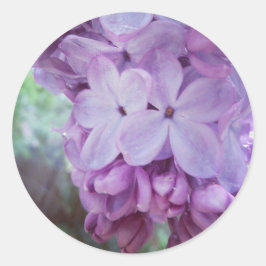 Adesivo Redondo Primavera roxo