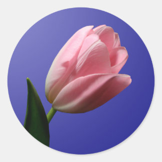 Adesivo Redondo Primavera Tulip Envelope Selo