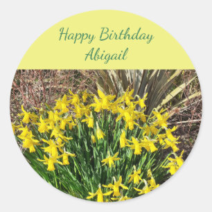 Adesivo Redondo Primavera Yellow Daffodils Birday