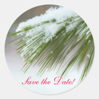 Adesivo Redondo Primeira neve