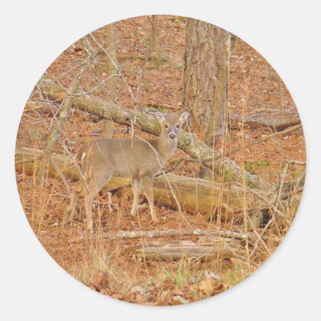 Adesivo Redondo Primeiro inverno do Baby Deer (Frente)