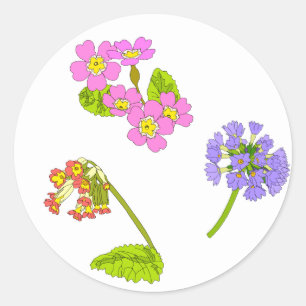 Adesivo Redondo Primroses