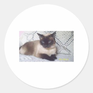 Adesivo Redondo Princesa