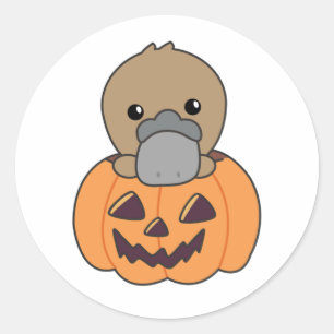 Adesivo Redondo Prípus Em Pumpkin Doce Animais Feliz Dia das Bruxa