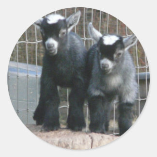 Adesivo Redondo Problemas duplos