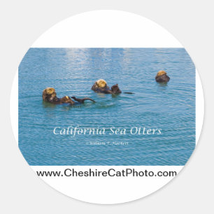 Adesivo Redondo Produtos California Sea Otter California