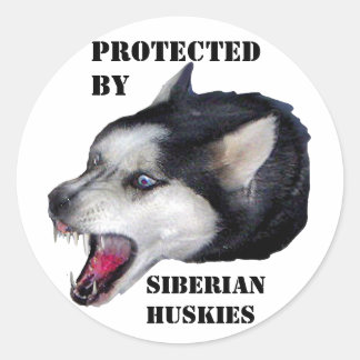 ADESIVO REDONDO PROTEGIDO POR HUSKIES SIBERIANOS