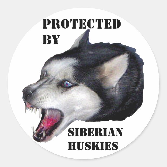 ADESIVO REDONDO PROTEGIDO POR HUSKIES SIBERIANOS (Frente)